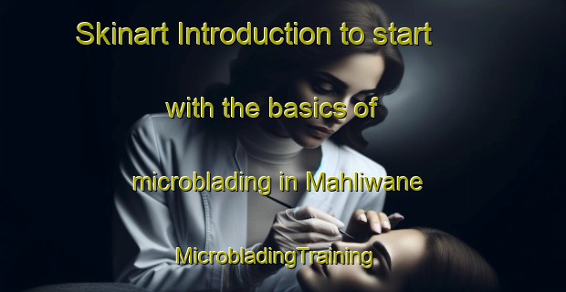 Skinart Introduction to start with the basics of microblading in Mahliwane | MicrobladingTraining | MicrobladingClasses | SkinartTraining-South Africa