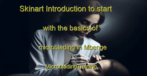 Skinart Introduction to start with the basics of microblading in Mbenge | MicrobladingTraining | MicrobladingClasses | SkinartTraining-South Africa