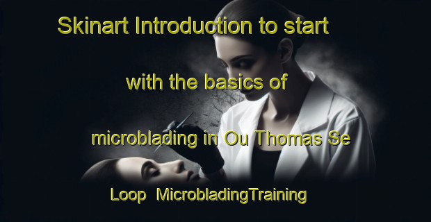 Skinart Introduction to start with the basics of microblading in Ou Thomas Se Loop | MicrobladingTraining | MicrobladingClasses | SkinartTraining-South Africa