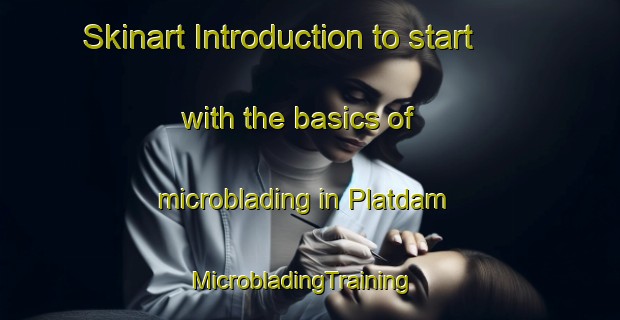 Skinart Introduction to start with the basics of microblading in Platdam | MicrobladingTraining | MicrobladingClasses | SkinartTraining-South Africa
