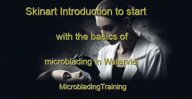 Skinart Introduction to start with the basics of microblading in Watervlei | MicrobladingTraining | MicrobladingClasses | SkinartTraining-South Africa