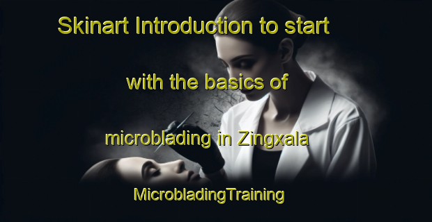 Skinart Introduction to start with the basics of microblading in Zingxala | MicrobladingTraining | MicrobladingClasses | SkinartTraining-South Africa