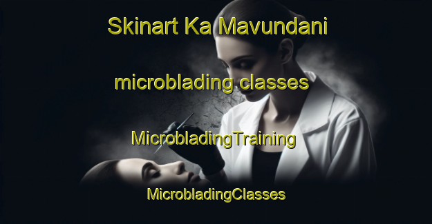 Skinart Ka Mavundani microblading classes | #MicrobladingTraining #MicrobladingClasses #SkinartTraining-South Africa