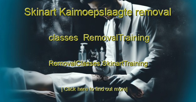 Skinart Kaimoepslaagte removal classes | #RemovalTraining #RemovalClasses #SkinartTraining-South Africa