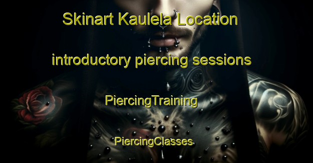 Skinart Kaulela Location introductory piercing sessions | PiercingTraining | PiercingClasses | SkinartTraining-South Africa
