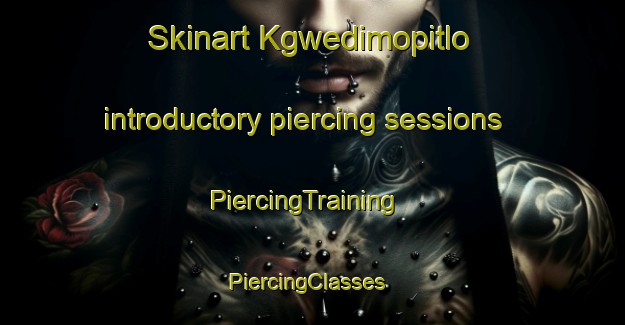 Skinart Kgwedimopitlo introductory piercing sessions | PiercingTraining | PiercingClasses | SkinartTraining-South Africa