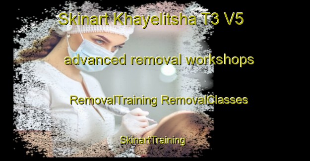 Skinart Khayelitsha T3 V5 advanced removal workshops | #RemovalTraining #RemovalClasses #SkinartTraining-South Africa