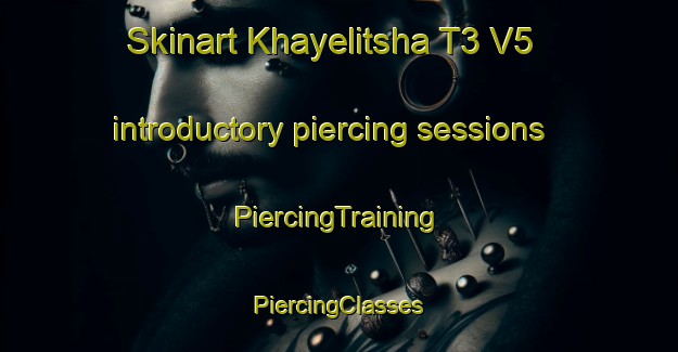 Skinart Khayelitsha T3 V5 introductory piercing sessions | #PiercingTraining #PiercingClasses #SkinartTraining-South Africa