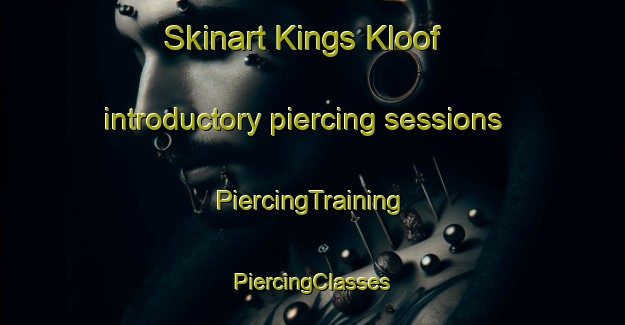 Skinart Kings Kloof introductory piercing sessions | #PiercingTraining #PiercingClasses #SkinartTraining-South Africa