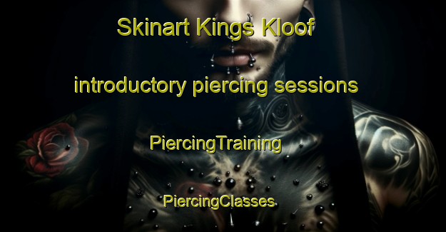 Skinart Kings Kloof introductory piercing sessions | PiercingTraining | PiercingClasses | SkinartTraining-South Africa