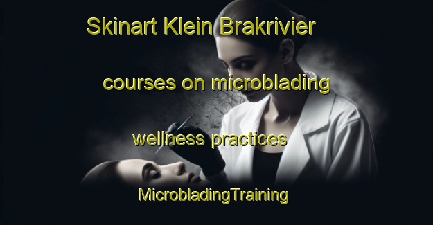 Skinart Klein Brakrivier courses on microblading wellness practices | #MicrobladingTraining #MicrobladingClasses #SkinartTraining-South Africa