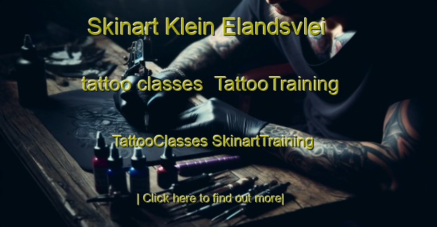 Skinart Klein Elandsvlei tattoo classes | #TattooTraining #TattooClasses #SkinartTraining-South Africa