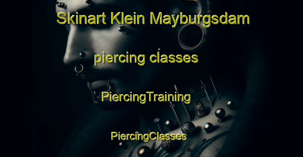 Skinart Klein Mayburgsdam piercing classes | PiercingTraining | PiercingClasses | SkinartTraining-South Africa