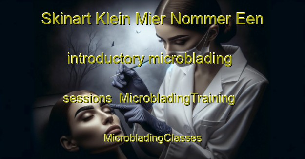 Skinart Klein Mier Nommer Een introductory microblading sessions | #MicrobladingTraining #MicrobladingClasses #SkinartTraining-South Africa