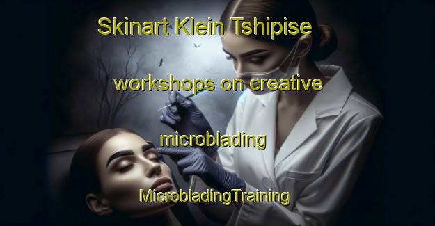 Skinart Klein Tshipise workshops on creative microblading | #MicrobladingTraining #MicrobladingClasses #SkinartTraining-South Africa