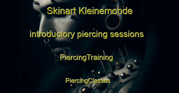 Skinart Kleinemonde introductory piercing sessions | PiercingTraining | PiercingClasses | SkinartTraining-South Africa