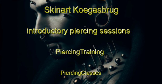 Skinart Koegasbrug introductory piercing sessions | #PiercingTraining #PiercingClasses #SkinartTraining-South Africa