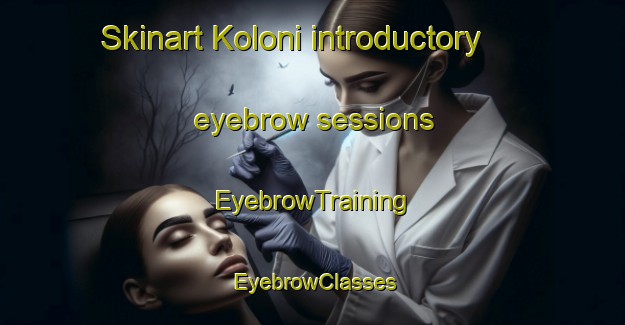 Skinart Koloni introductory eyebrow sessions | EyebrowTraining | EyebrowClasses | SkinartTraining-South Africa