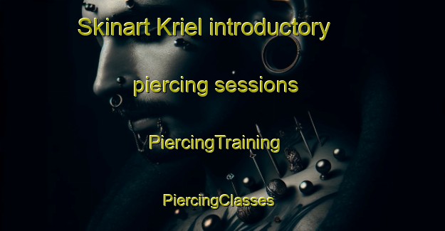 Skinart Kriel introductory piercing sessions | PiercingTraining | PiercingClasses | SkinartTraining-South Africa