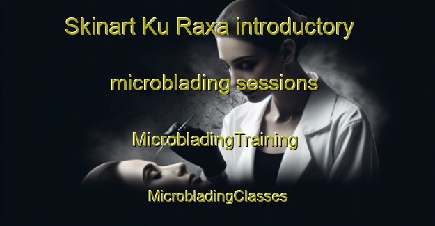 Skinart Ku Raxa introductory microblading sessions | #MicrobladingTraining #MicrobladingClasses #SkinartTraining-South Africa