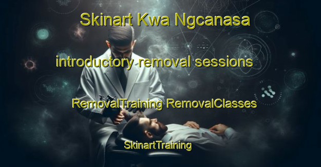 Skinart Kwa Ngcanasa introductory removal sessions | #RemovalTraining #RemovalClasses #SkinartTraining-South Africa