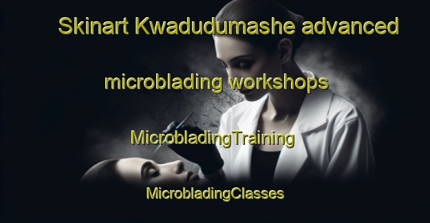 Skinart Kwadudumashe advanced microblading workshops | #MicrobladingTraining #MicrobladingClasses #SkinartTraining-South Africa