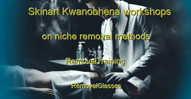 Skinart Kwanobhena workshops on niche removal methods | RemovalTraining | RemovalClasses | SkinartTraining-South Africa