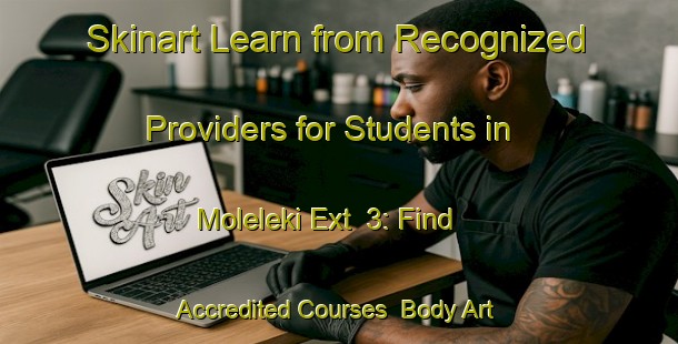 Skinart Learn from Recognized Providers for Students in Moleleki Ext  3: Find Accredited Courses | Body Art Qualification Authority | BAQA-South Africa