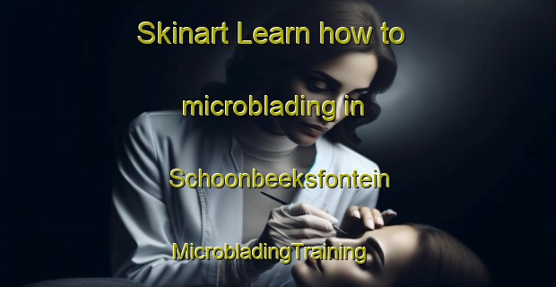 Skinart Learn how to microblading in Schoonbeeksfontein | MicrobladingTraining | MicrobladingClasses | SkinartTraining-South Africa