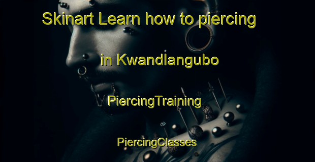 Skinart Learn how to piercing in Kwandlangubo | #PiercingTraining #PiercingClasses #SkinartTraining-South Africa