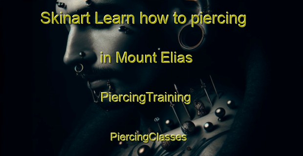 Skinart Learn how to piercing in Mount Elias | PiercingTraining | PiercingClasses | SkinartTraining-South Africa