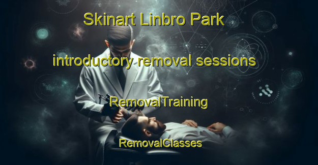 Skinart Linbro Park introductory removal sessions | RemovalTraining | RemovalClasses | SkinartTraining-South Africa