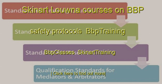 Skinart Louwna courses on BBP safety protocols | BbpTraining | BbpClasses | SkinartTraining-South Africa