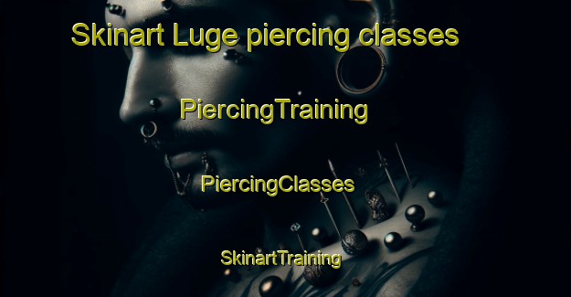 Skinart Luge piercing classes | PiercingTraining | PiercingClasses | SkinartTraining-South Africa