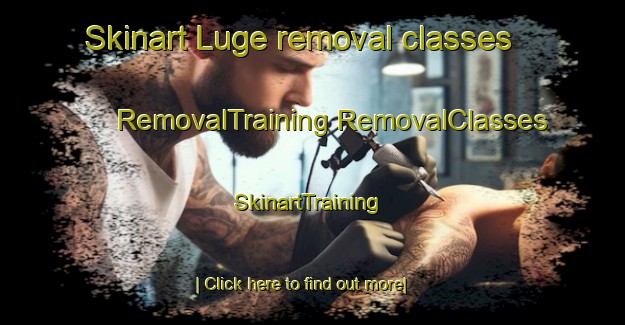 Skinart Luge removal classes | #RemovalTraining #RemovalClasses #SkinartTraining-South Africa