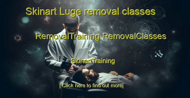 Skinart Luge removal classes | #RemovalTraining #RemovalClasses #SkinartTraining-South Africa