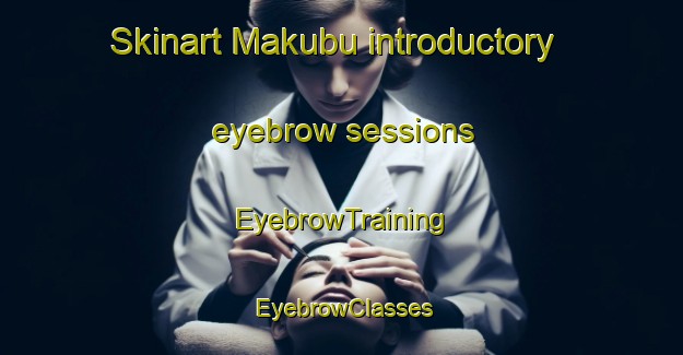 Skinart Makubu introductory eyebrow sessions | EyebrowTraining | EyebrowClasses | SkinartTraining-South Africa