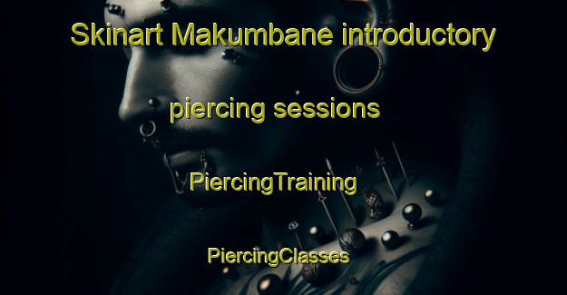 Skinart Makumbane introductory piercing sessions | PiercingTraining | PiercingClasses | SkinartTraining-South Africa