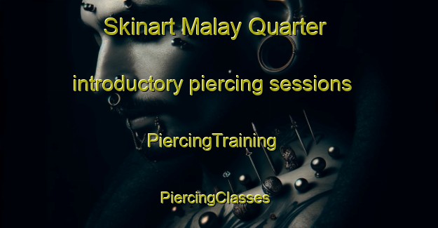 Skinart Malay Quarter introductory piercing sessions | PiercingTraining | PiercingClasses | SkinartTraining-South Africa