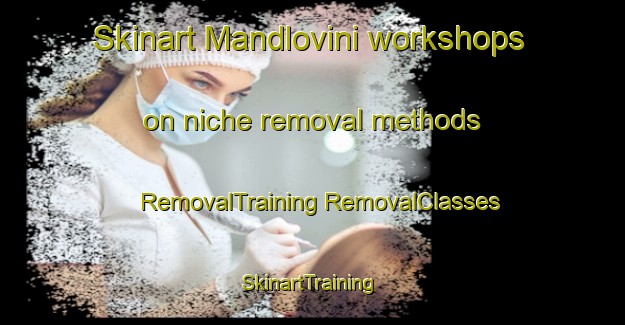 Skinart Mandlovini workshops on niche removal methods | #RemovalTraining #RemovalClasses #SkinartTraining-South Africa