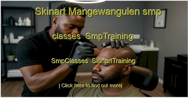 Skinart Mangewangulen smp classes | SmpTraining | SmpClasses | SkinartTraining-South Africa