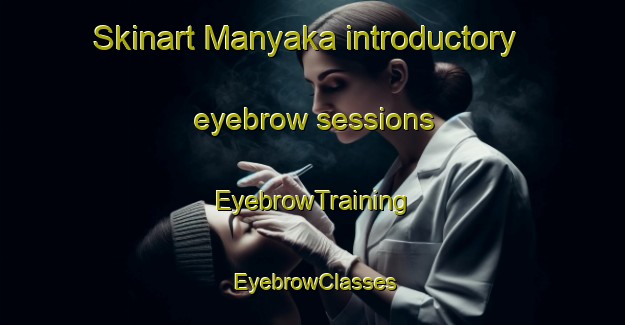 Skinart Manyaka introductory eyebrow sessions | EyebrowTraining | EyebrowClasses | SkinartTraining-South Africa