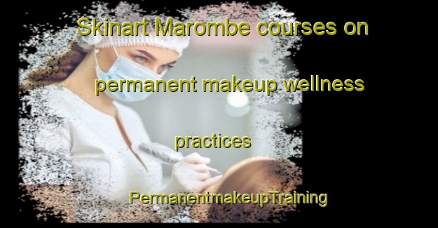 Skinart Marombe courses on permanent makeup wellness practices | #PermanentmakeupTraining #PermanentmakeupClasses #SkinartTraining-South Africa