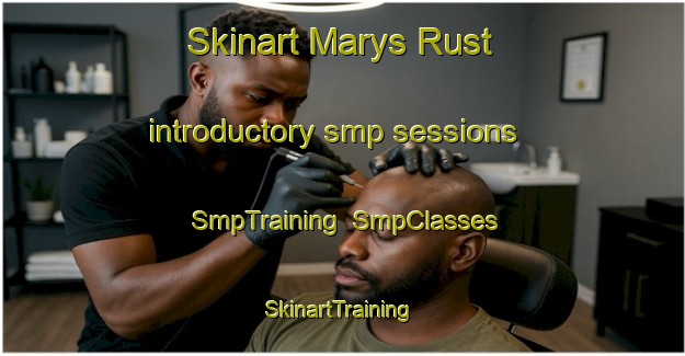 Skinart Marys Rust introductory smp sessions | SmpTraining | SmpClasses | SkinartTraining-South Africa