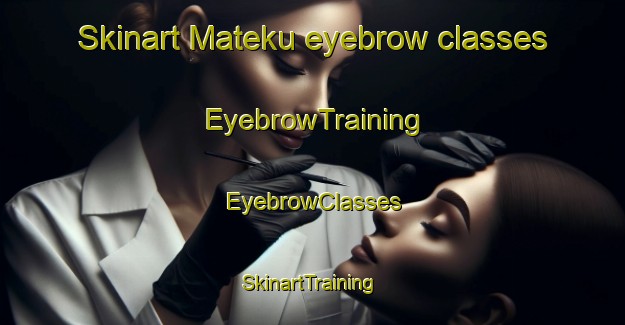 Skinart Mateku eyebrow classes | EyebrowTraining | EyebrowClasses | SkinartTraining-South Africa