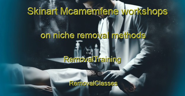 Skinart Mcamemfene workshops on niche removal methods | RemovalTraining | RemovalClasses | SkinartTraining-South Africa