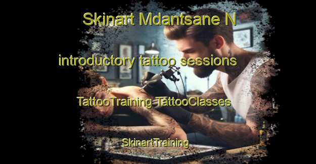 Skinart Mdantsane N introductory tattoo sessions | #TattooTraining #TattooClasses #SkinartTraining-South Africa