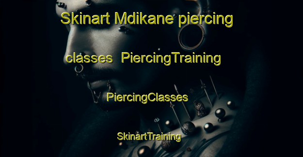 Skinart Mdikane piercing classes | PiercingTraining | PiercingClasses | SkinartTraining-South Africa