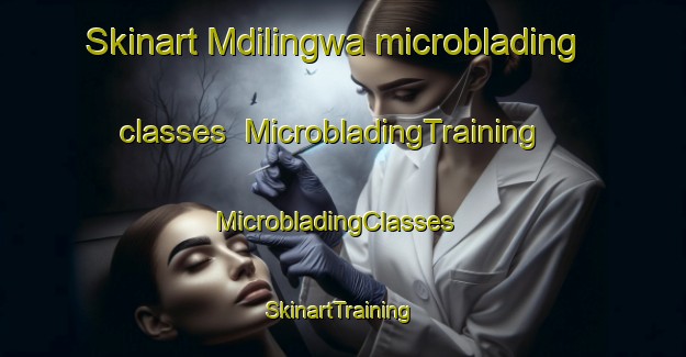 Skinart Mdilingwa microblading classes | MicrobladingTraining | MicrobladingClasses | SkinartTraining-South Africa