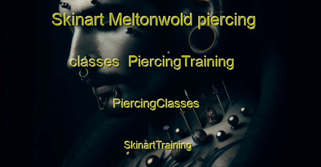 Skinart Meltonwold piercing classes | PiercingTraining | PiercingClasses | SkinartTraining-South Africa